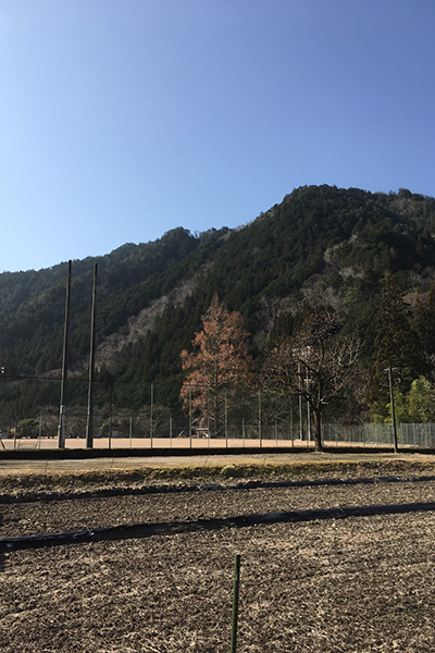 IMG-1646.JPG