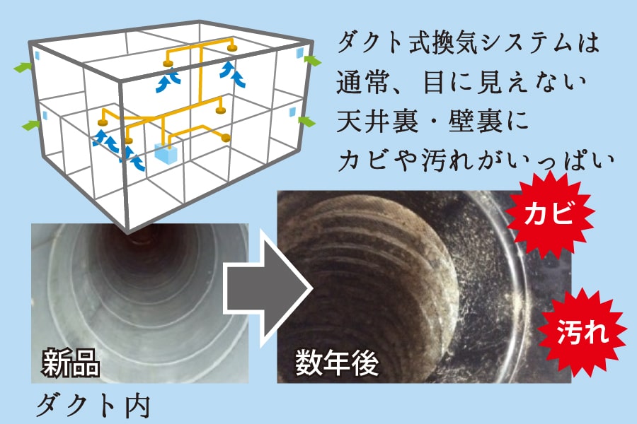 ダクト内のカビの様子