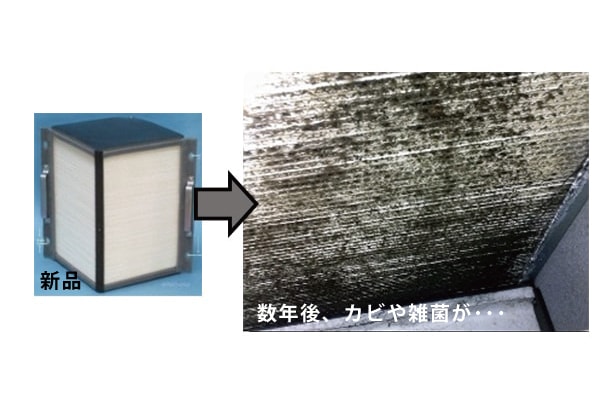 全熱交換素子のカビの様子