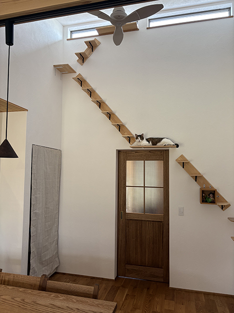 ⑤ のコピー.jpg